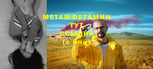 стаф Аркадак