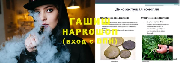 стаф Аркадак