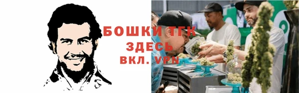 стаф Аркадак