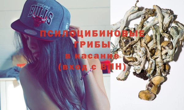 экстази Арсеньев