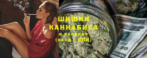 стаф Аркадак