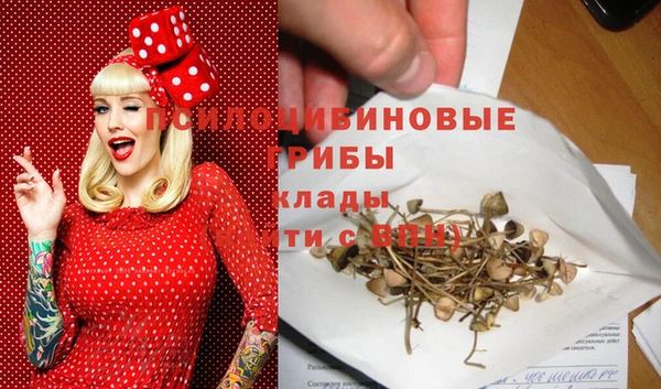 экстази Арсеньев