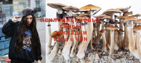 экстази Арсеньев