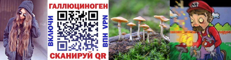 Псилоцибиновые грибы прущие грибы  Реж 