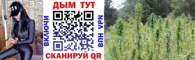 магазин продажи наркотиков  Реж  Шишки марихуана VHQ 
